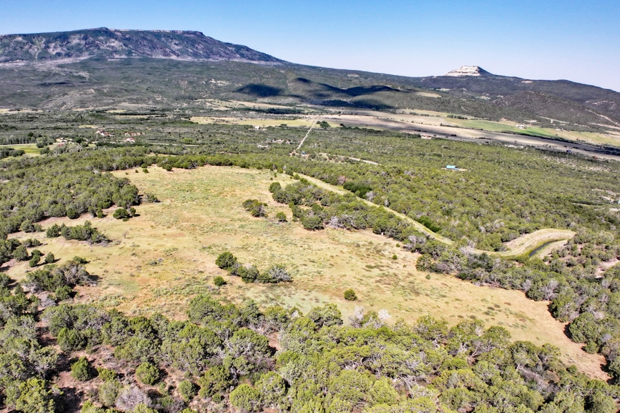 Acreage Borders Public Land For Sale in Colorado
