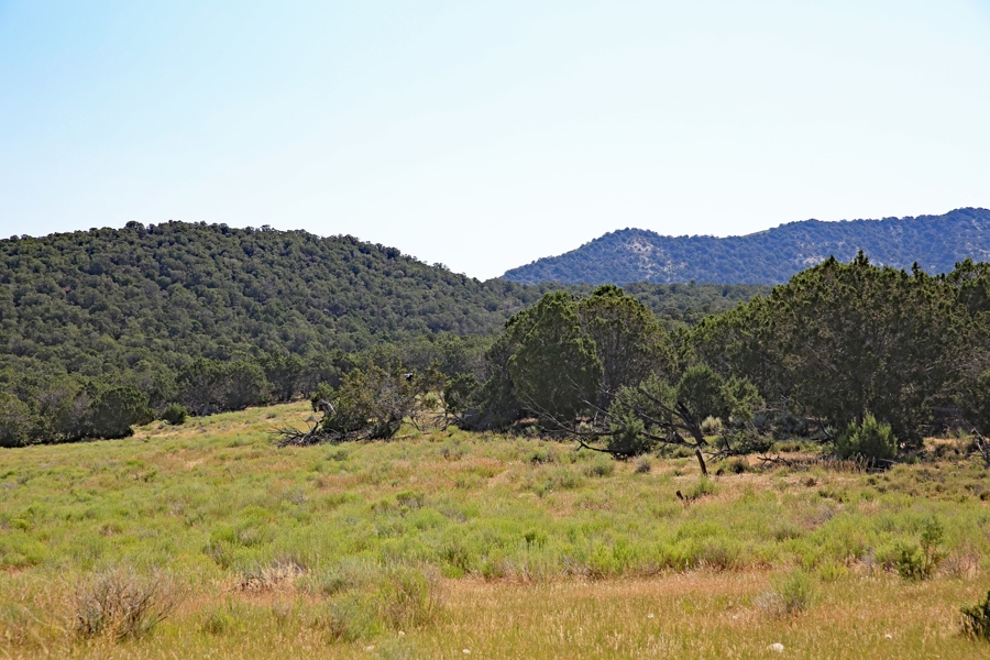 Acreage Borders Public Land For Sale in Colorado