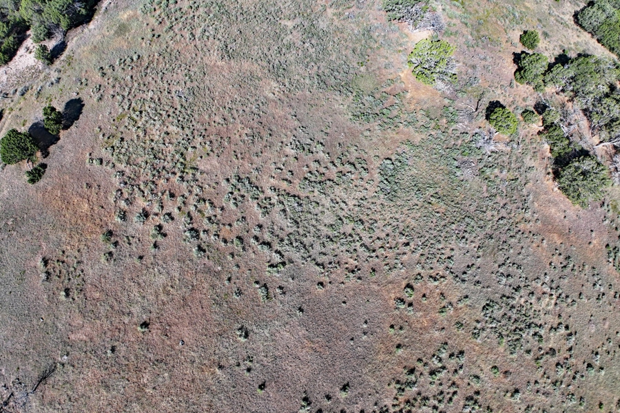Acreage Borders Public Land For Sale in Colorado