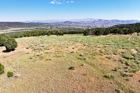 Colorado Land For Sale Borders National Forest and BLM - image 8