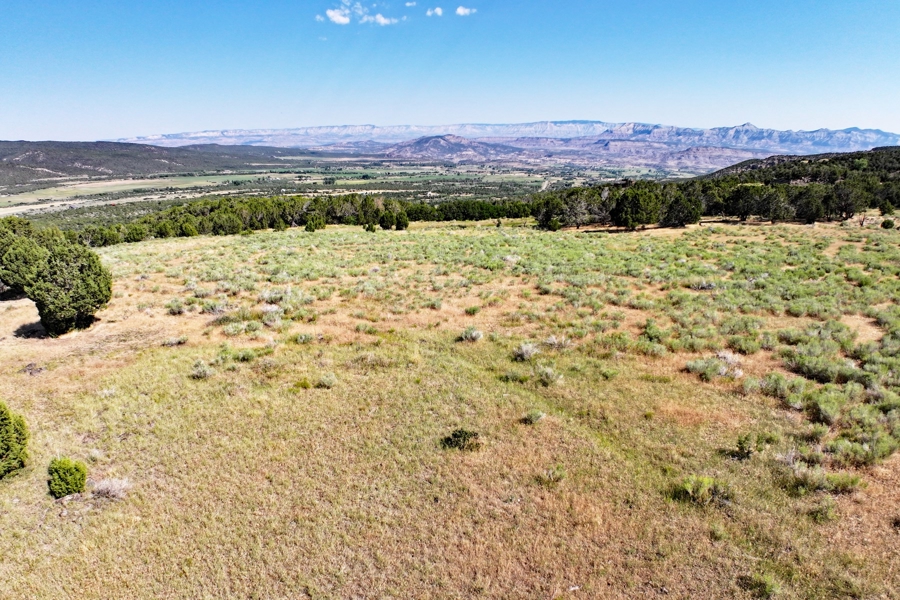 Acreage Borders Public Land For Sale in Colorado
