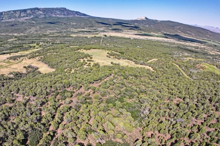 Colorado Land For Sale Borders National Forest and BLM - image 14