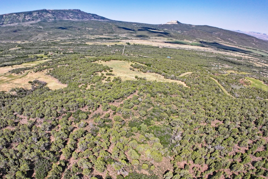 Acreage Borders Public Land For Sale in Colorado