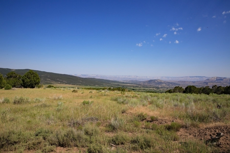 Colorado Land For Sale Borders National Forest and BLM - image 22