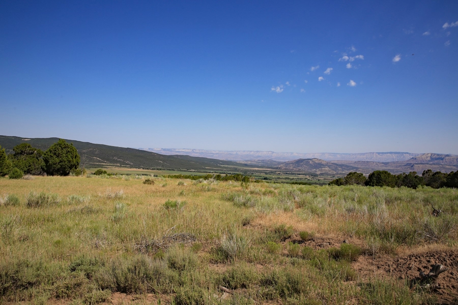 Acreage Borders Public Land For Sale in Colorado