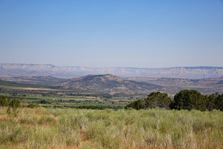 Colorado Land For Sale Borders National Forest and BLM - image 19