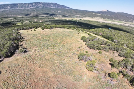 Colorado Land For Sale Borders National Forest and BLM - image 15