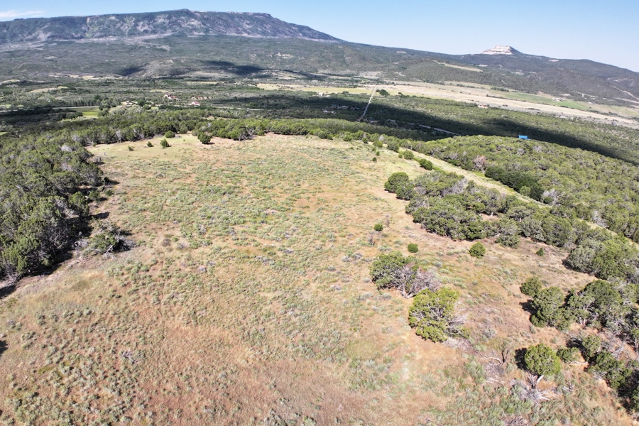 Acreage Borders Public Land For Sale in Colorado