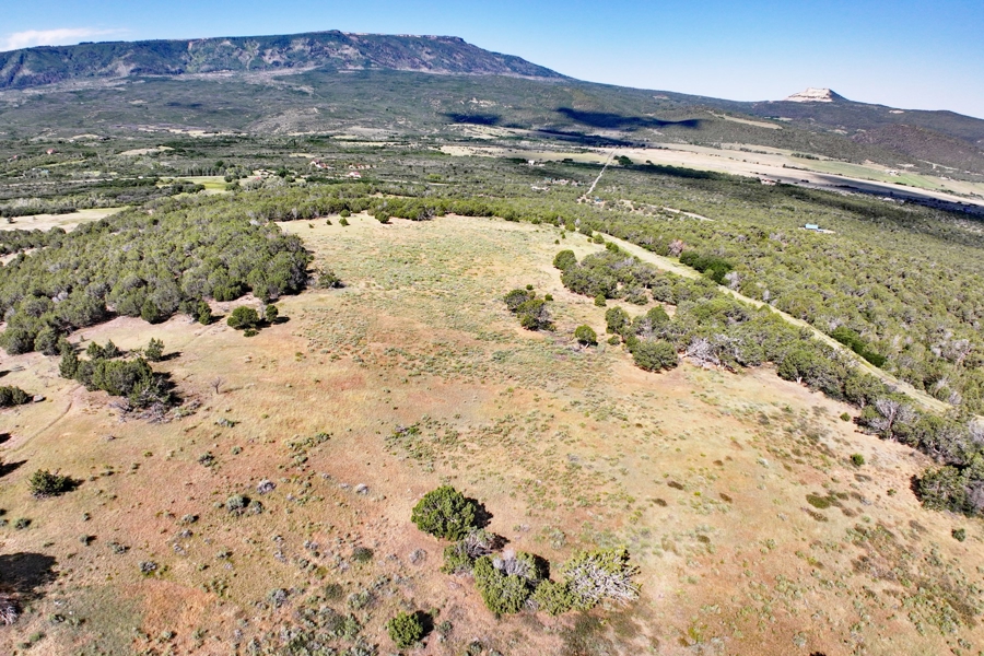 Acreage Borders Public Land For Sale in Colorado