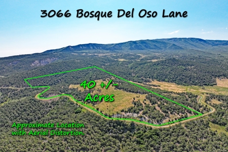 Colorado Land For Sale Borders National Forest and BLM - image 1