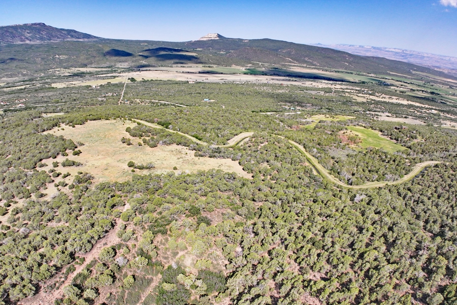 Acreage Borders Public Land For Sale in Colorado
