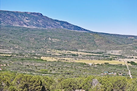 Colorado Land For Sale Borders National Forest and BLM - image 25