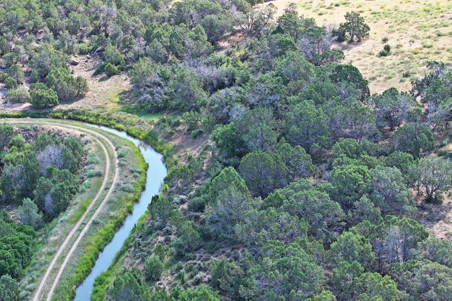 Acreage Borders Public Land For Sale in Colorado