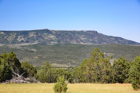 Colorado Land For Sale Borders National Forest and BLM - image 3