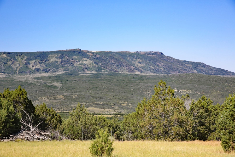 Acreage Borders Public Land For Sale in Colorado