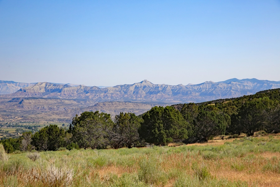 Acreage Borders Public Land For Sale in Colorado