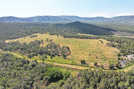 Colorado Land For Sale Borders National Forest and BLM - image 4