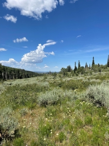 Colorado Outfitting Business With Land & Lodge - image 39