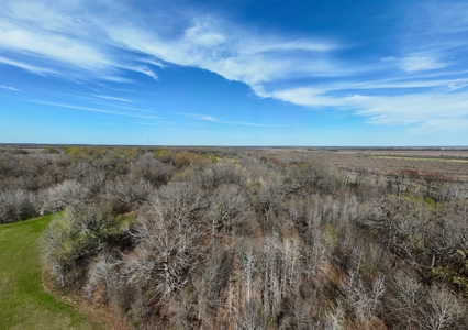 Land for Sale West Carrol Parish LA - image 7