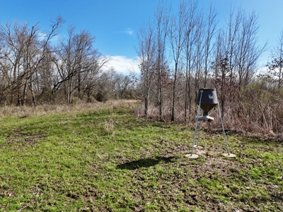 Land for Sale West Carrol Parish LA - image 3