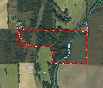 Land for Sale West Carrol Parish LA - image 11