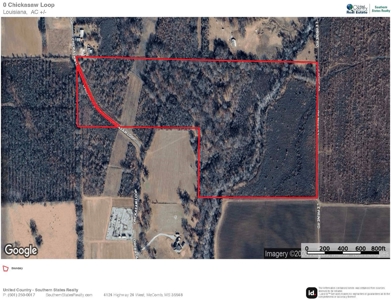 Land for Sale West Carrol Parish LA - image 13
