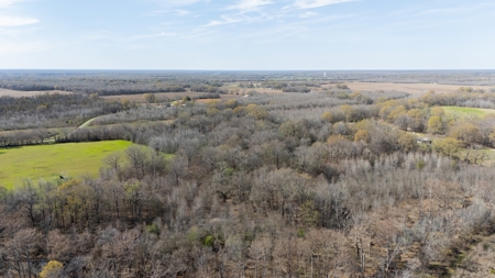 Land for Sale West Carrol Parish LA - image 1