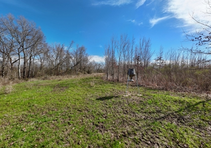 Land for Sale West Carrol Parish LA - image 10