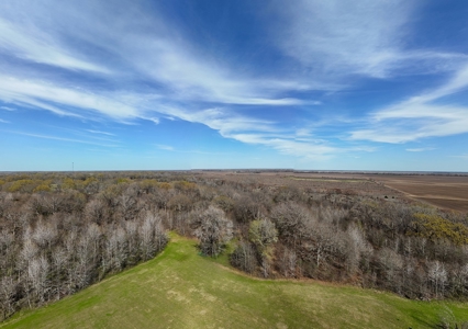 Land for Sale West Carrol Parish LA - image 4