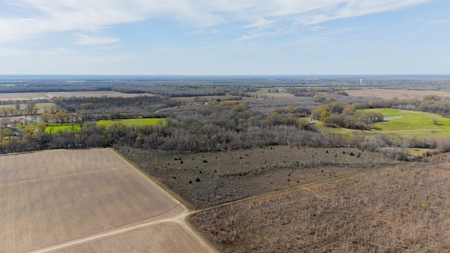 Land for Sale West Carrol Parish LA - image 6