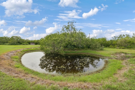 Updated Country Home With A Pool In Alice, Texas - image 22