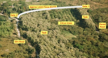 Teak Farm w Harvestable Trees and Buildable Land, San Carlos - image 4