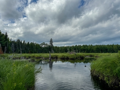 330 Acre Parcel with Waterfront - image 6