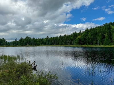 330 Acre Parcel with Waterfront - image 1