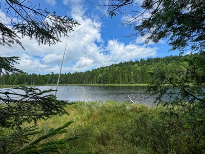 330 Acre Parcel with Waterfront - image 4