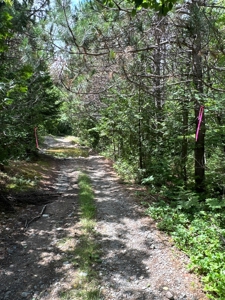330 Acre Parcel with Waterfront - image 12