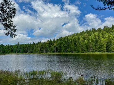 330 Acre Parcel with Waterfront - image 2