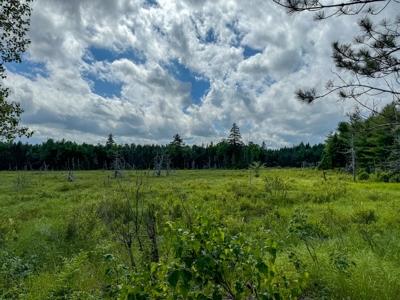 330 Acre Parcel with Waterfront - image 7