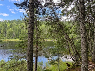 330 Acre Parcel with Waterfront - image 5