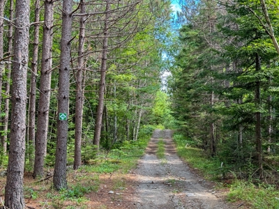 330 Acre Parcel with Waterfront - image 14