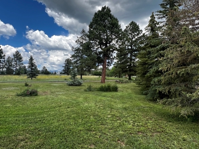 Quiet, Private Mountain Home in Chama Valley near Village - image 15