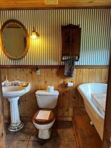 Quiet, Private Mountain Home in Chama Valley near Village - image 7