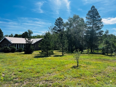 Quiet, Private Mountain Home in Chama Valley near Village - image 37