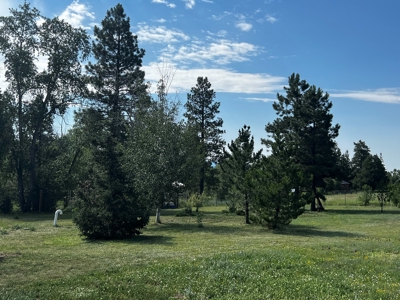 Quiet, Private Mountain Home in Chama Valley near Village - image 18