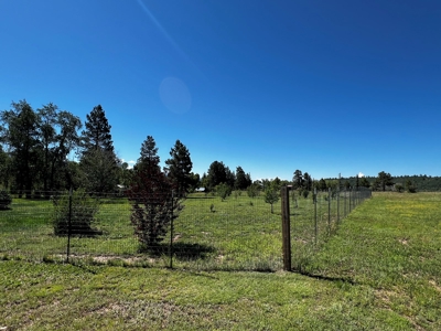 Quiet, Private Mountain Home in Chama Valley near Village - image 26