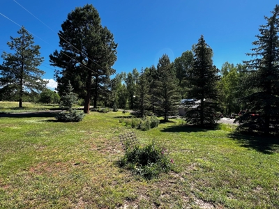 Quiet, Private Mountain Home in Chama Valley near Village - image 24