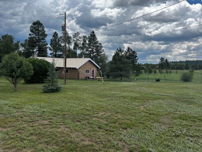 Quiet, Private Mountain Home in Chama Valley near Village - image 29