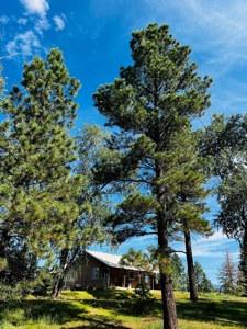 Quiet, Private Mountain Home in Chama Valley near Village - image 40