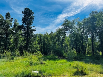 Quiet, Private Mountain Home in Chama Valley near Village - image 38