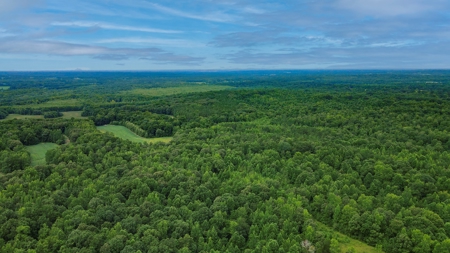 West TN Hunting Land and Recreational Farm for Sale - image 24